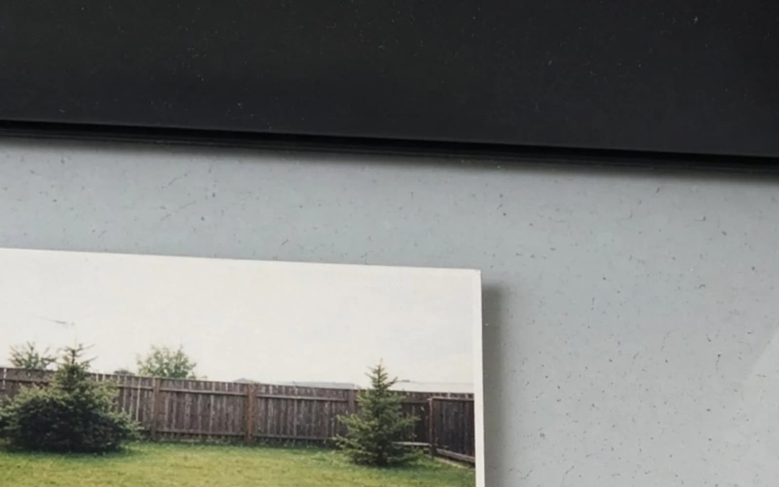 The same crop of a backyard print on scanner glass without the blur damage, kept for comparison.