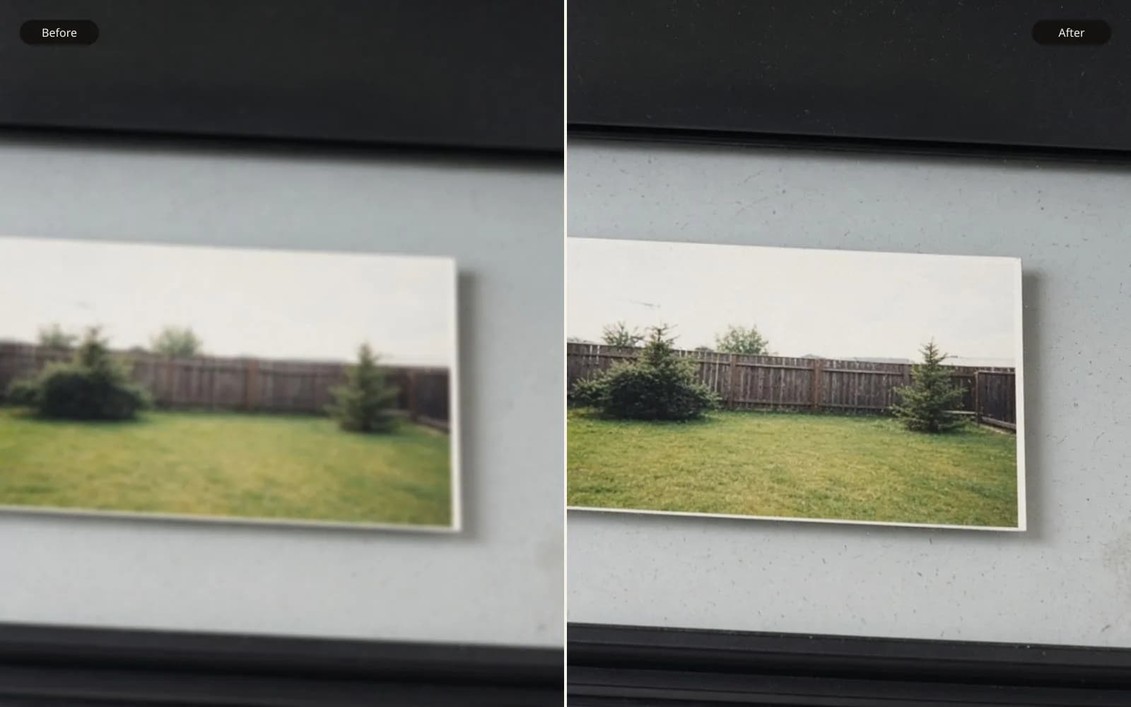 Before and after of a backyard print on scanner glass. Left is the blur damage. Right is the same photograph kept sharp.