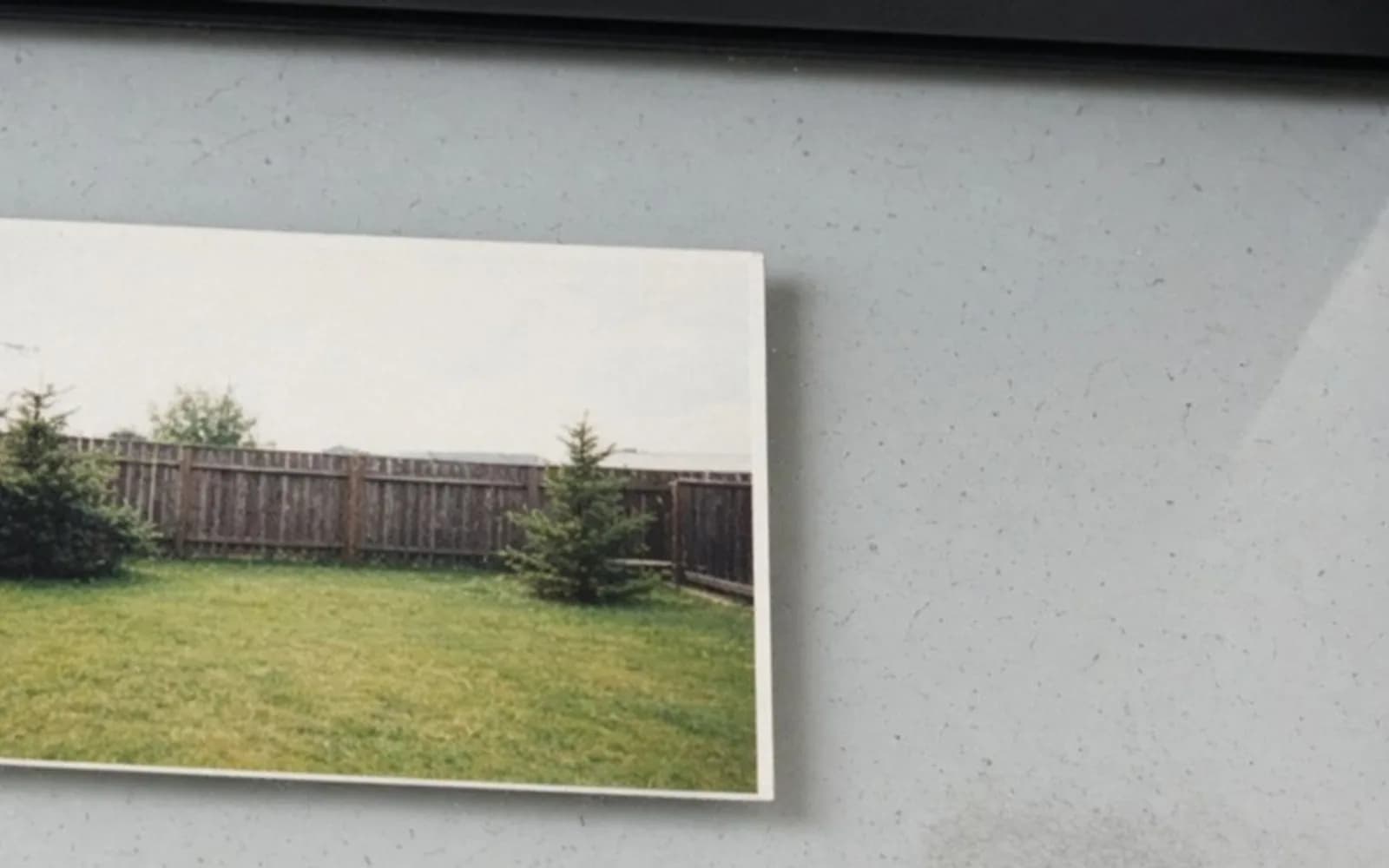 Close crop of a backyard print on scanner glass with soft damage, the problem this guide is measuring.