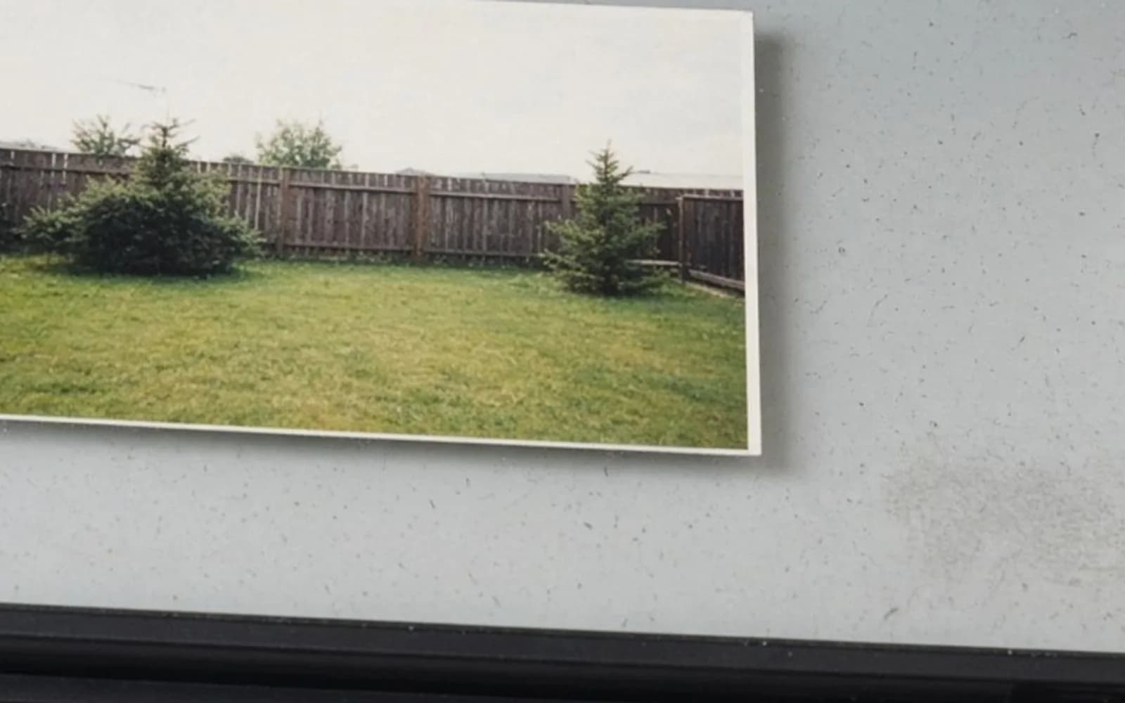 Close crop of a backyard print on scanner glass with pixel damage, the problem this guide is measuring.