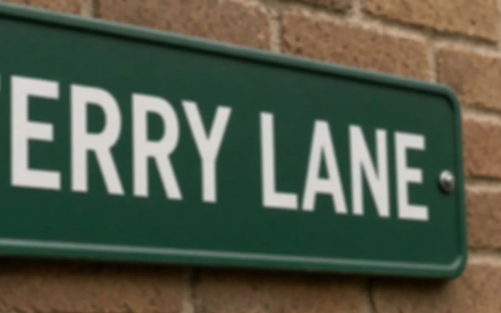 Close crop of a street sign reading FERRY LANE with blur damage, the problem this guide is measuring.
