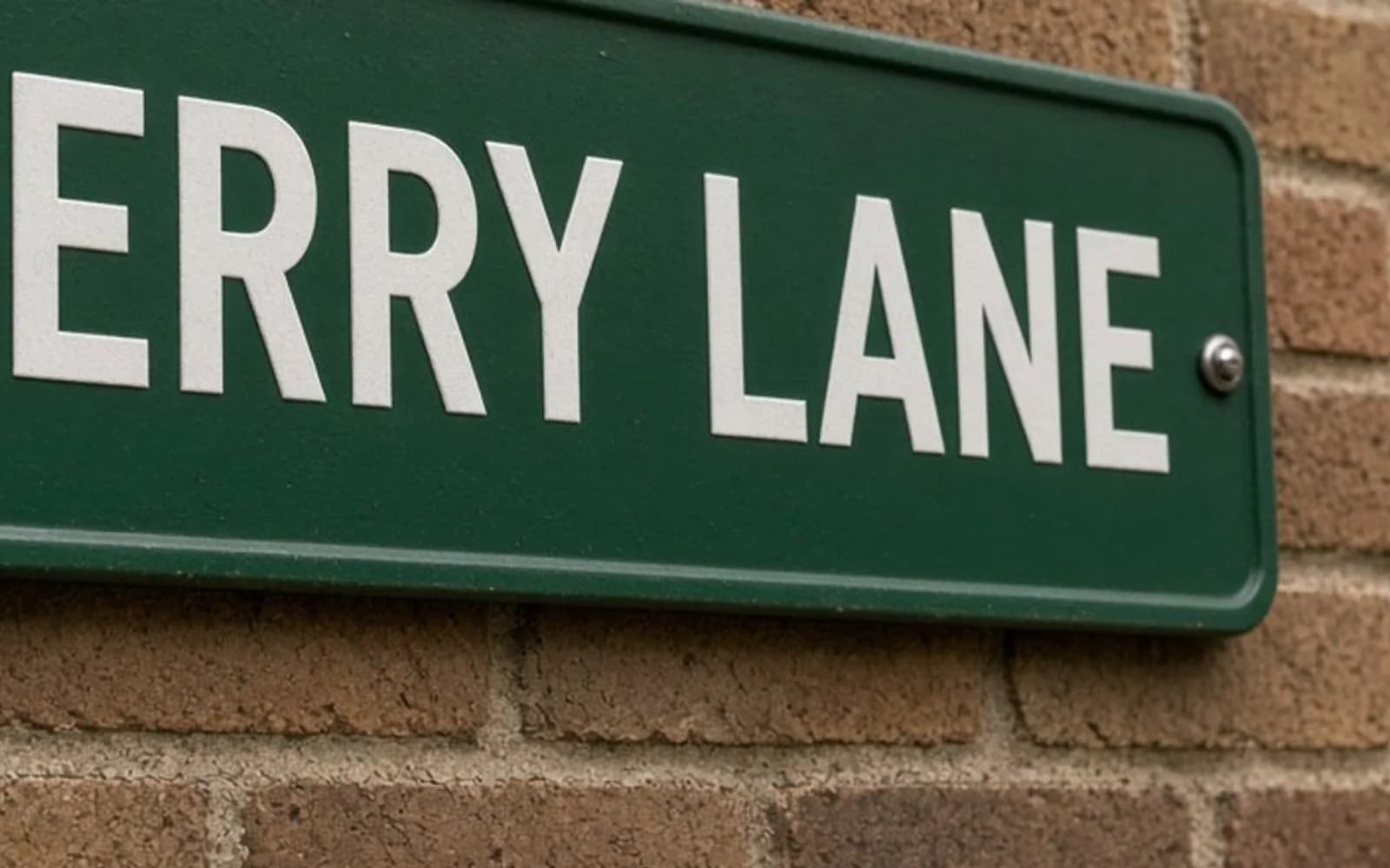 The same crop of a street sign reading FERRY LANE without the blur damage, kept for comparison.