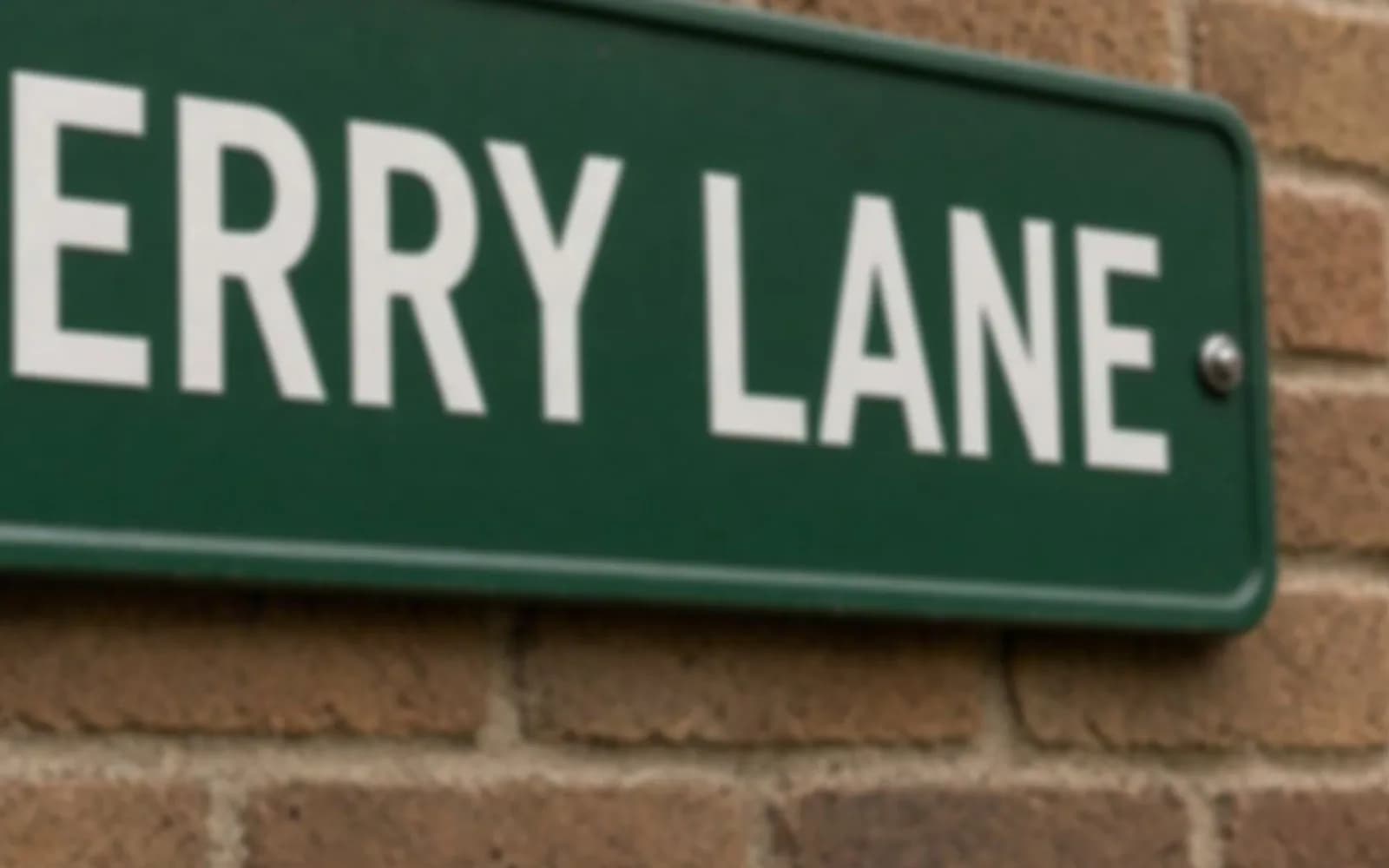 Close crop of a street sign reading FERRY LANE with blur damage, the problem this guide is measuring.