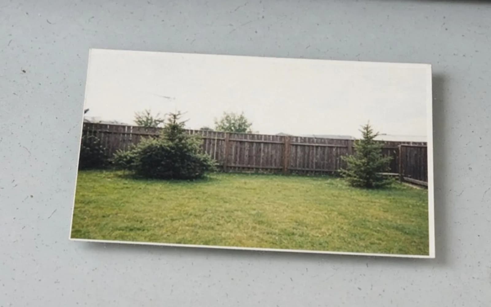 The same crop of a backyard print on scanner glass without the age damage, kept for comparison.