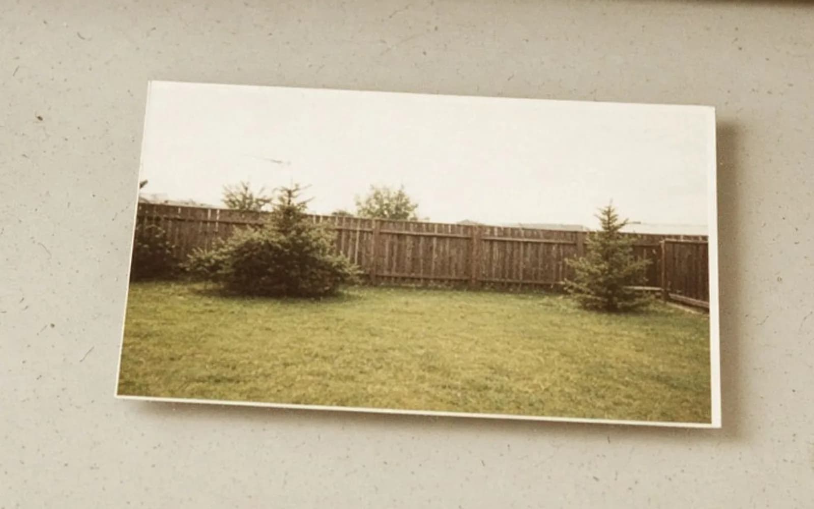 Close crop of a backyard print on scanner glass with age damage, the problem this guide is measuring.