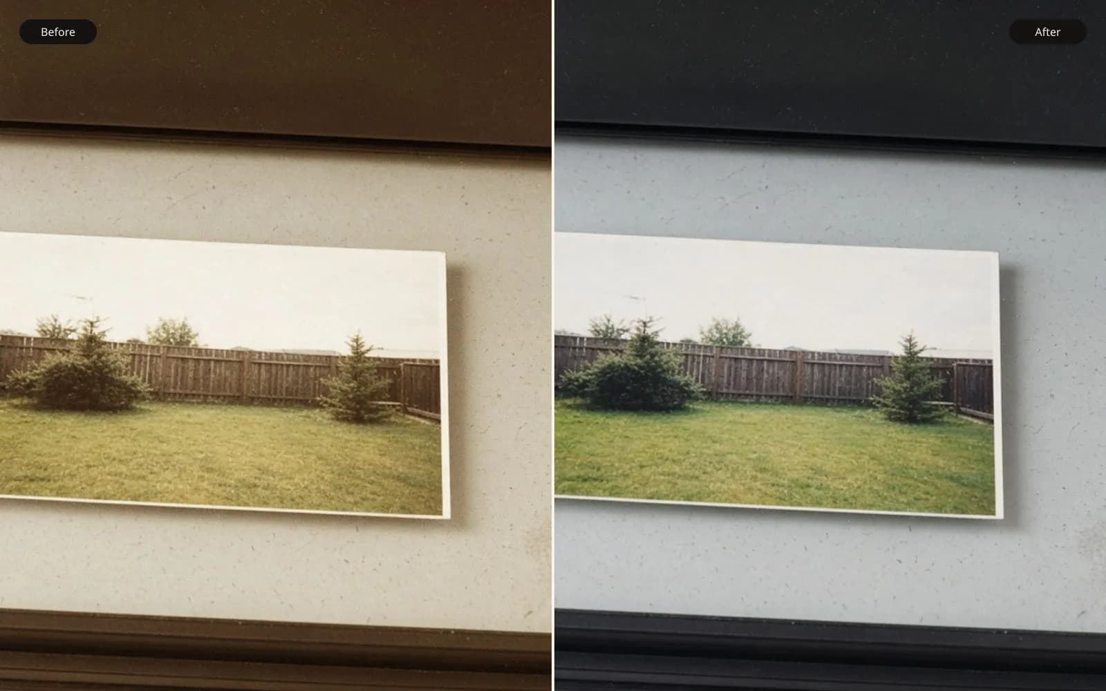 Before and after of a backyard print on scanner glass. Left is the age damage. Right is the same photograph kept sharp.