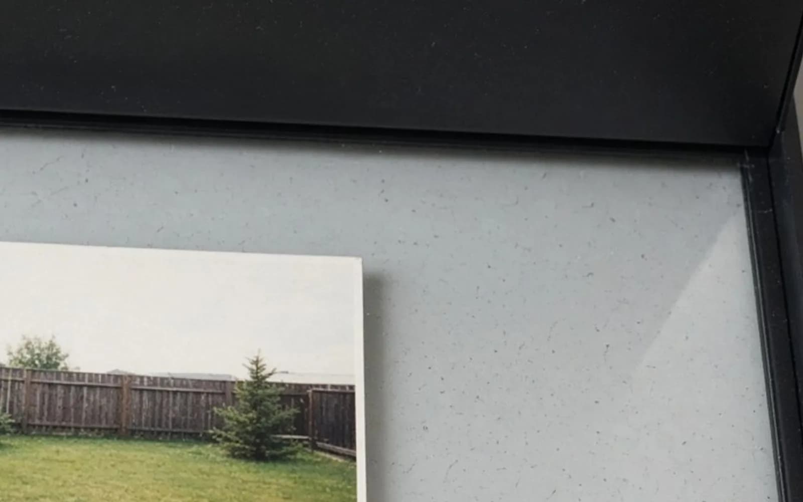 Close crop of a backyard print on scanner glass with pixel damage, the problem this guide is measuring.