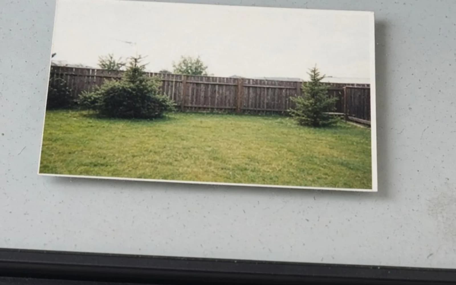 Close crop of a backyard print on scanner glass with pixel damage, the problem this guide is measuring.