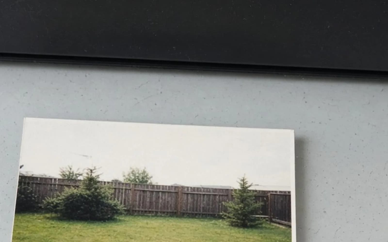 The same crop of a backyard print on scanner glass without the soft damage, kept for comparison.