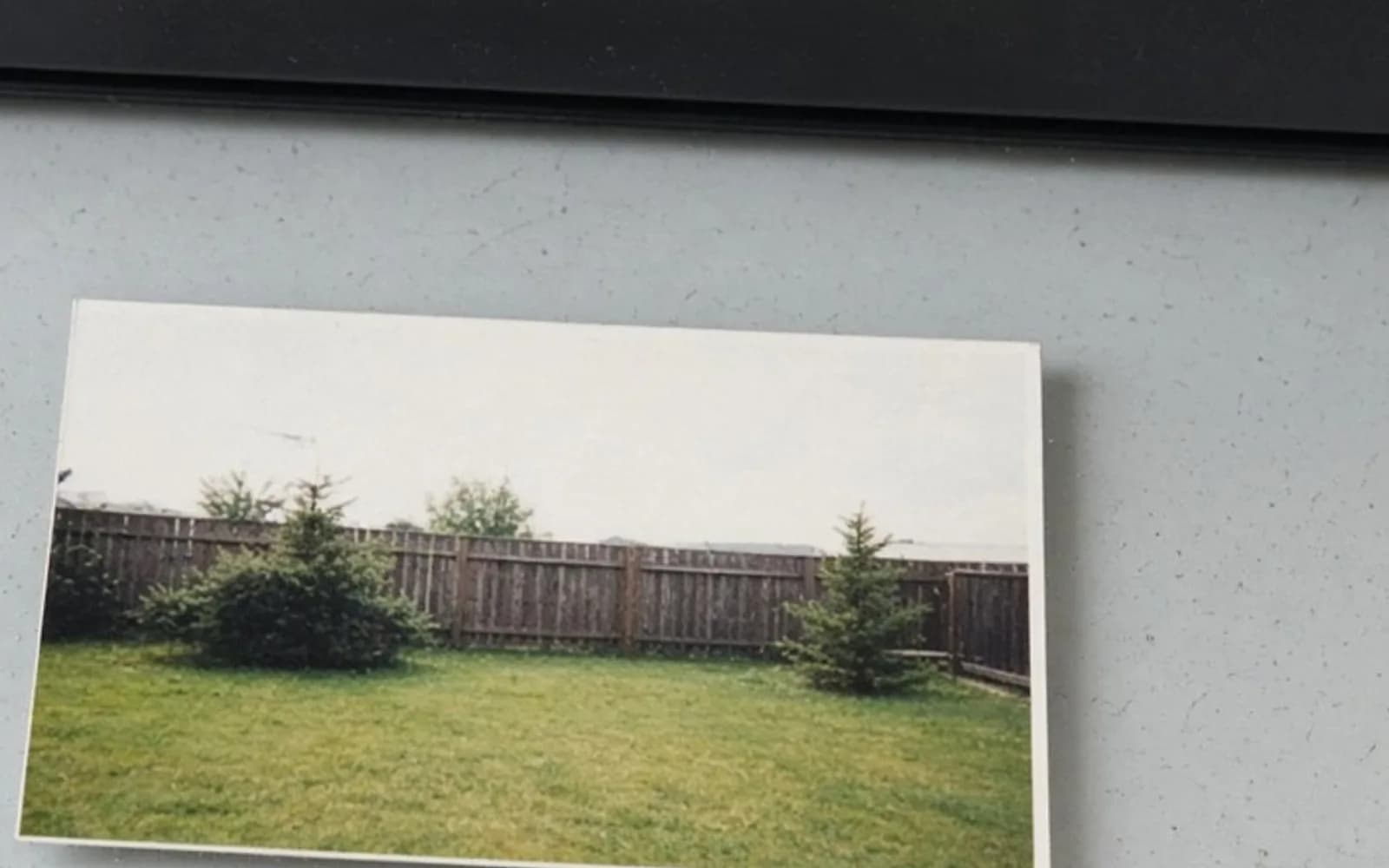 The same crop of a backyard print on scanner glass without the pixel damage, kept for comparison.