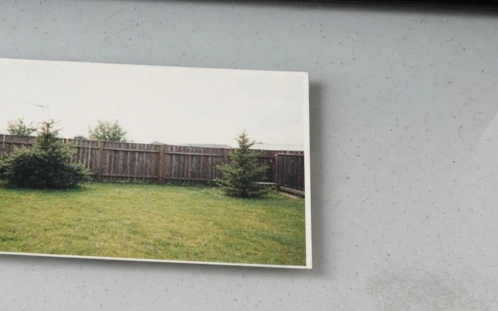 Close crop of a backyard print on scanner glass with soft damage, the problem this guide is measuring.