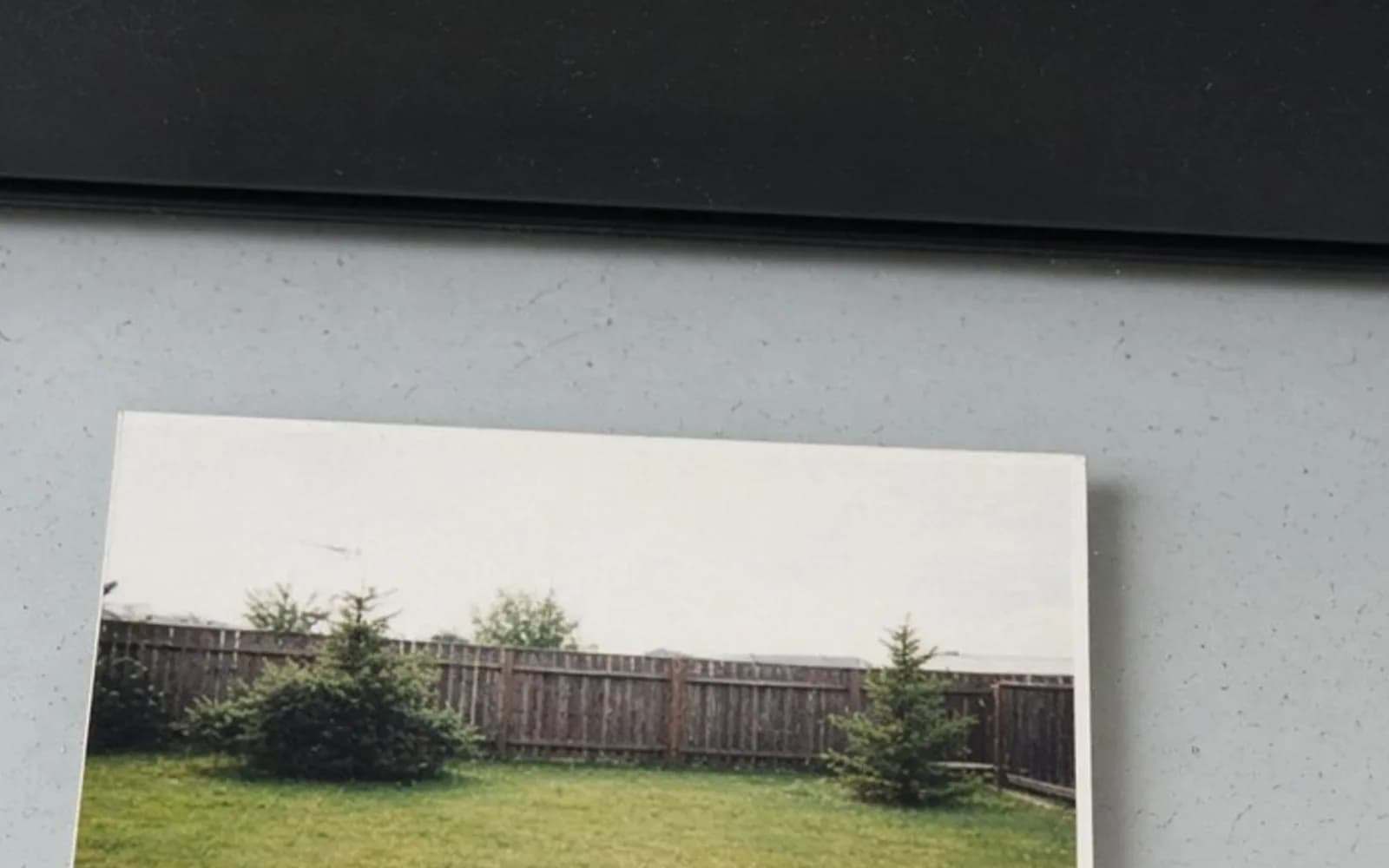 The same crop of a backyard print on scanner glass without the pixel damage, kept for comparison.
