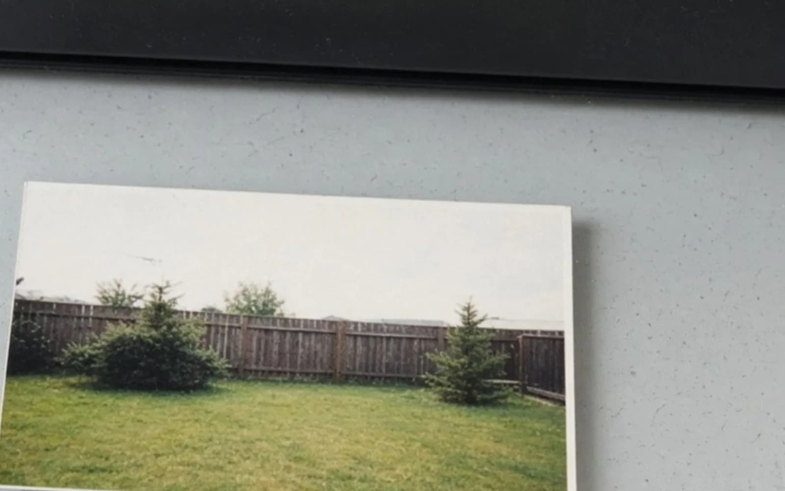 Close crop of a backyard print on scanner glass with soft damage, the problem this guide is measuring.