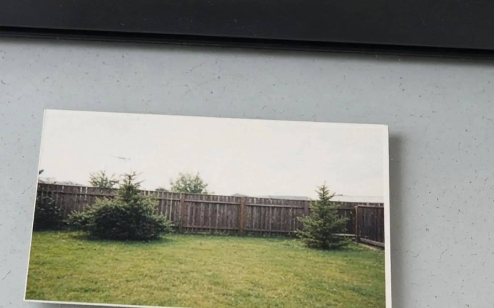 Close crop of a backyard print on scanner glass with pixel damage, the problem this guide is measuring.