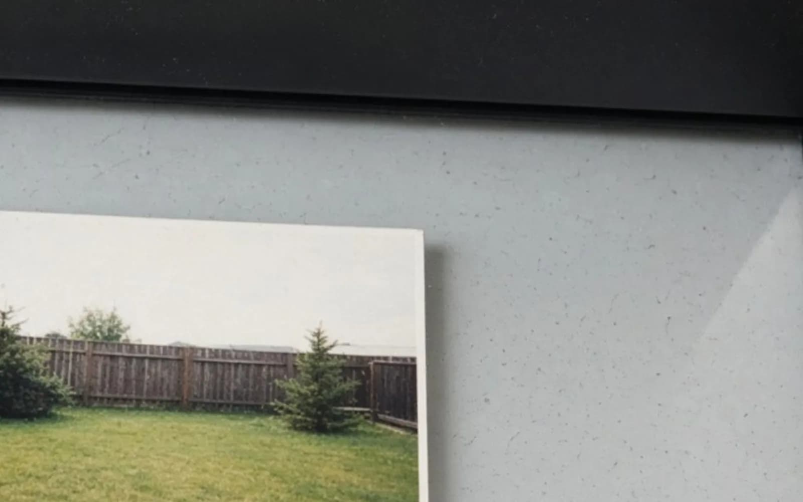 Close crop of a backyard print on scanner glass with soft damage, the problem this guide is measuring.