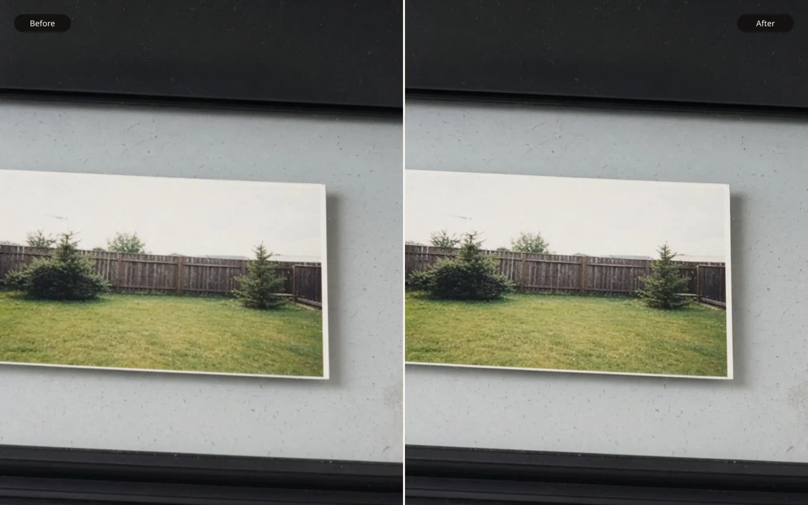 Before and after of a backyard print on scanner glass. Left is the soft damage. Right is the same photograph kept sharp.