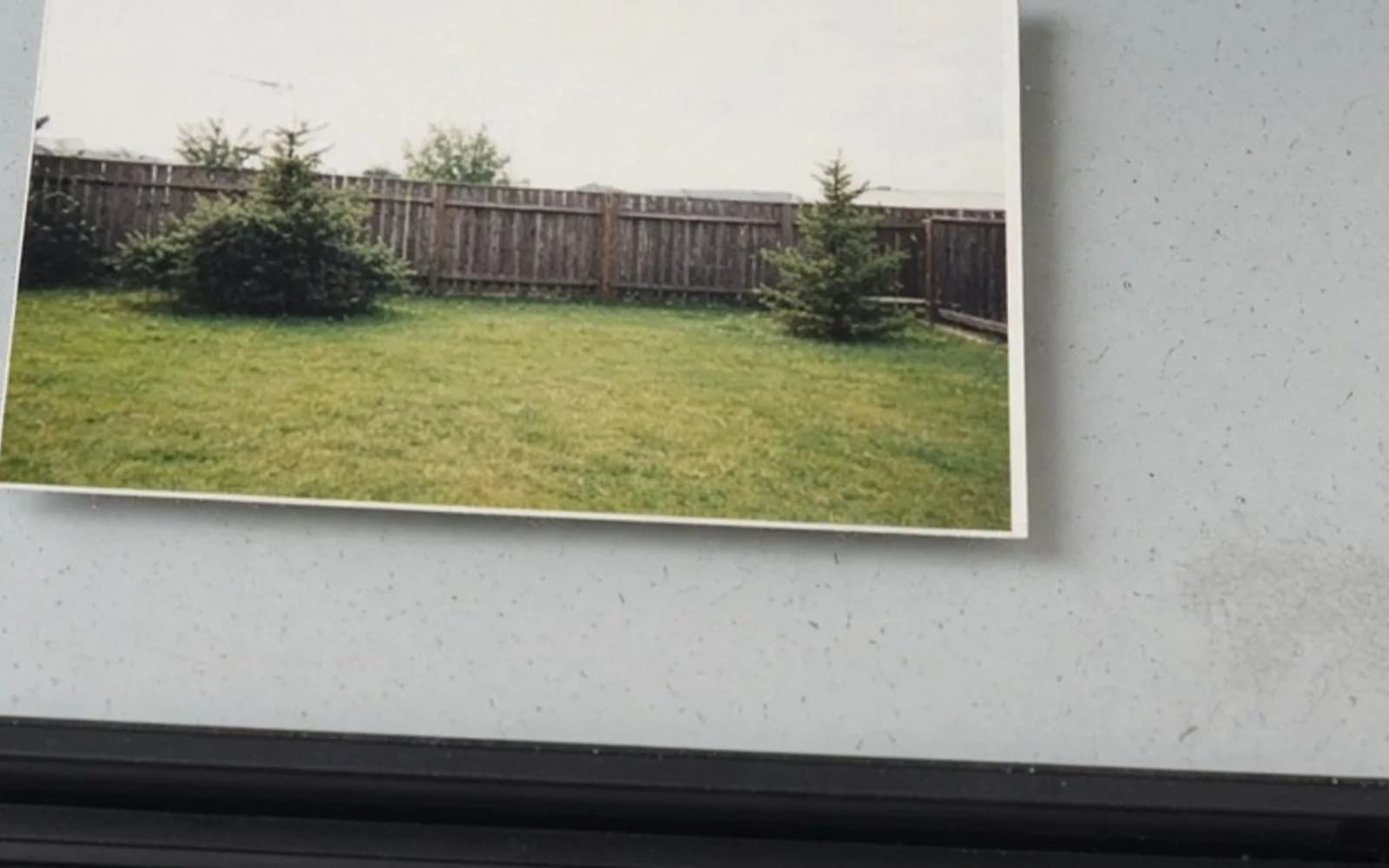 Close crop of a backyard print on scanner glass with pixel damage, the problem this guide is measuring.