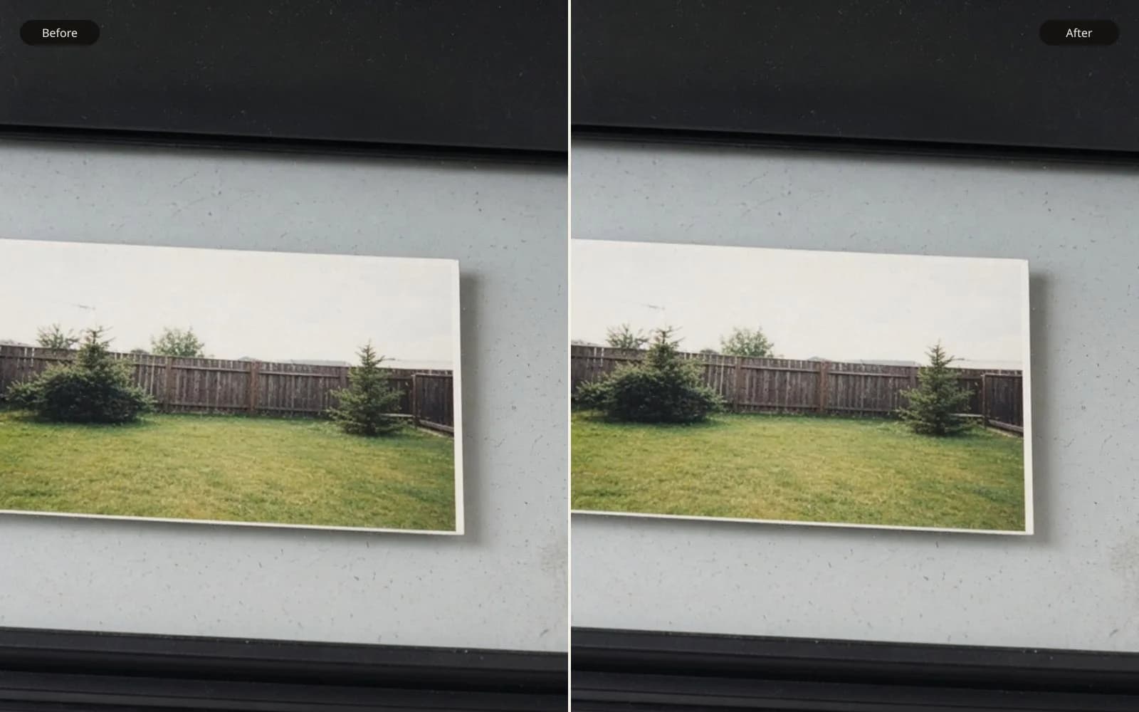 Before and after of a backyard print on scanner glass. Left is the pixel damage. Right is the same photograph kept sharp.